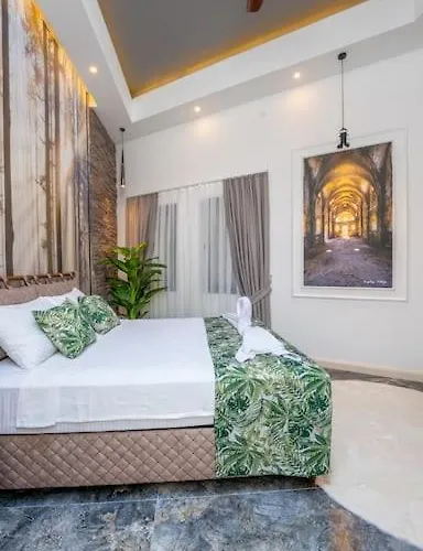 Sehir Merkezinde Lueks - Ocekhomes Adin *